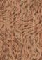 Preview: Blushing Sloth MO2042