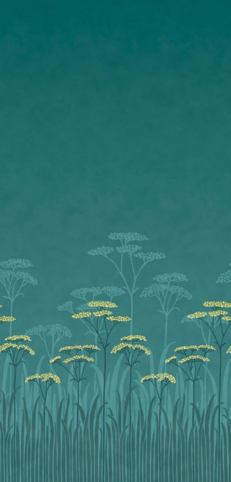 Achillea - Aurora