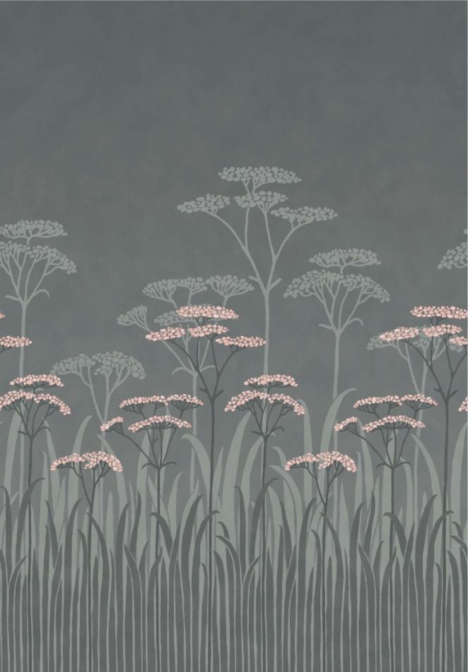 Achillea - Twilight