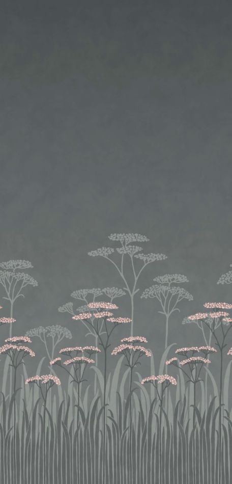 Achillea - Twilight