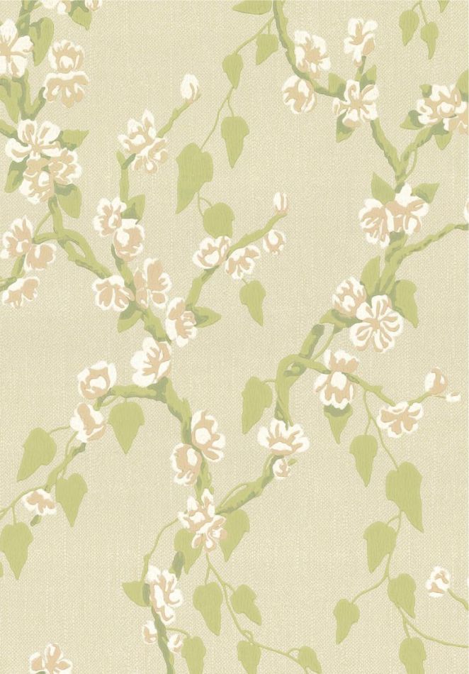 Sakura - Pomme