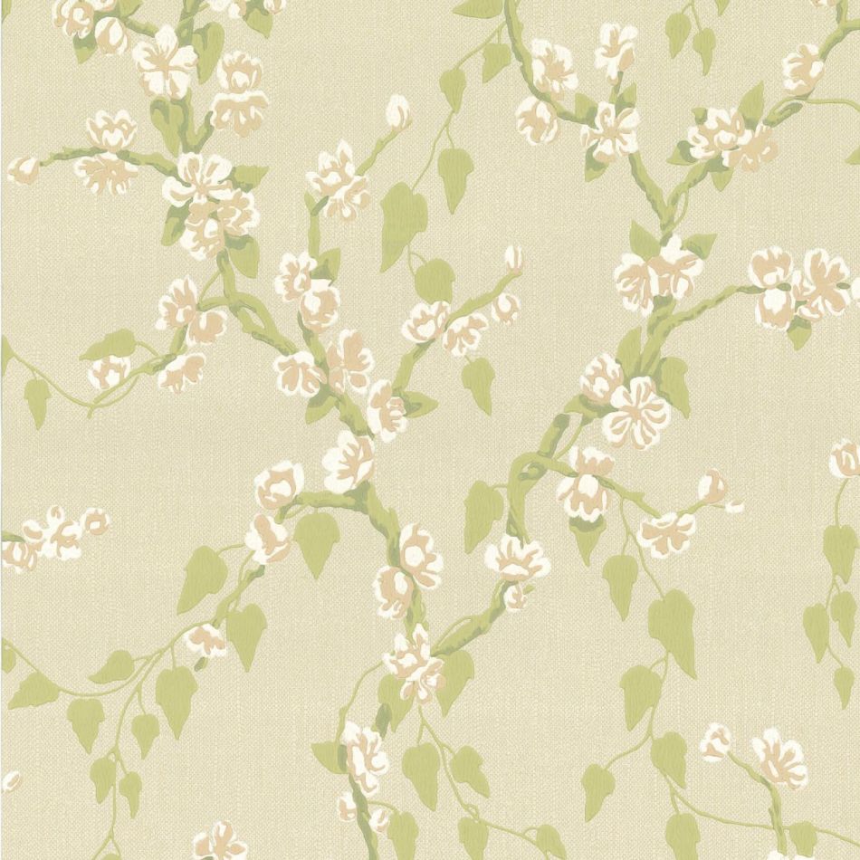 Sakura - Pomme