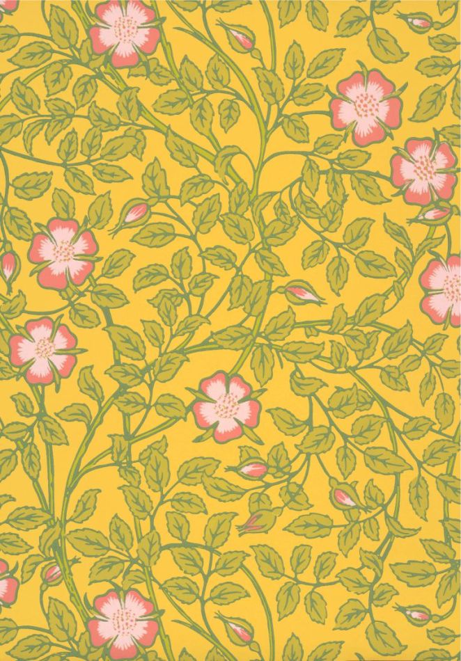 Briar Rose - Indian Yellow