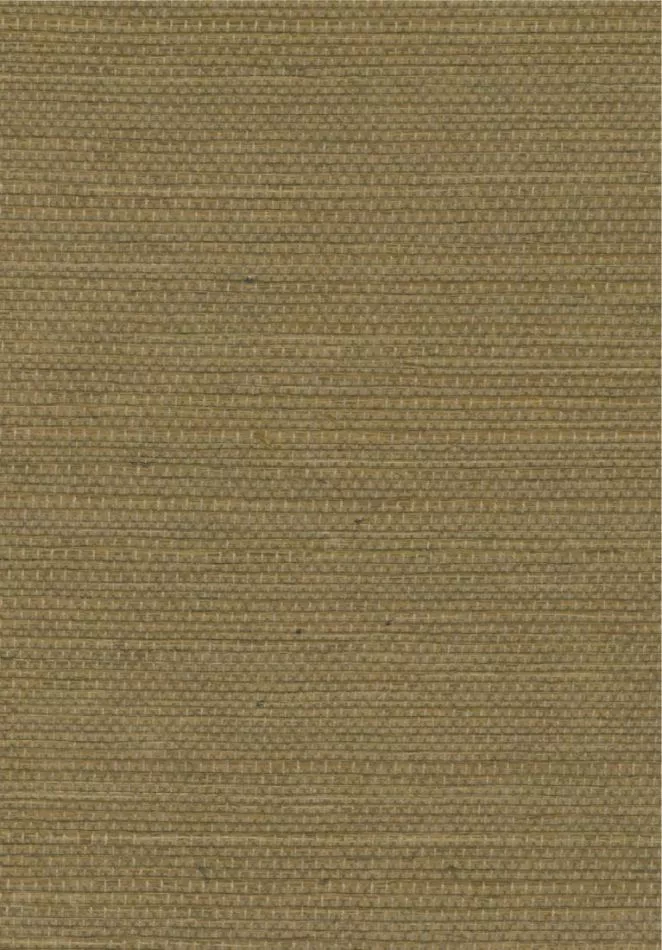 Sisal RM1069 66