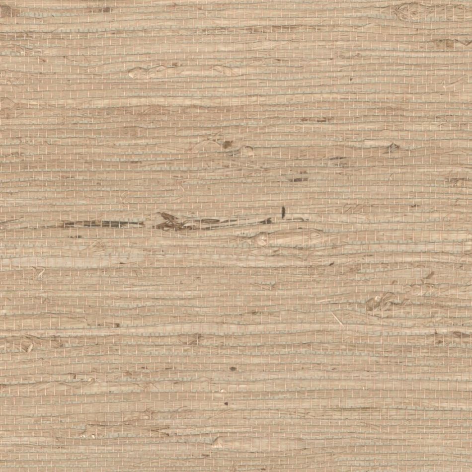 Grasscloth RM1083 05
