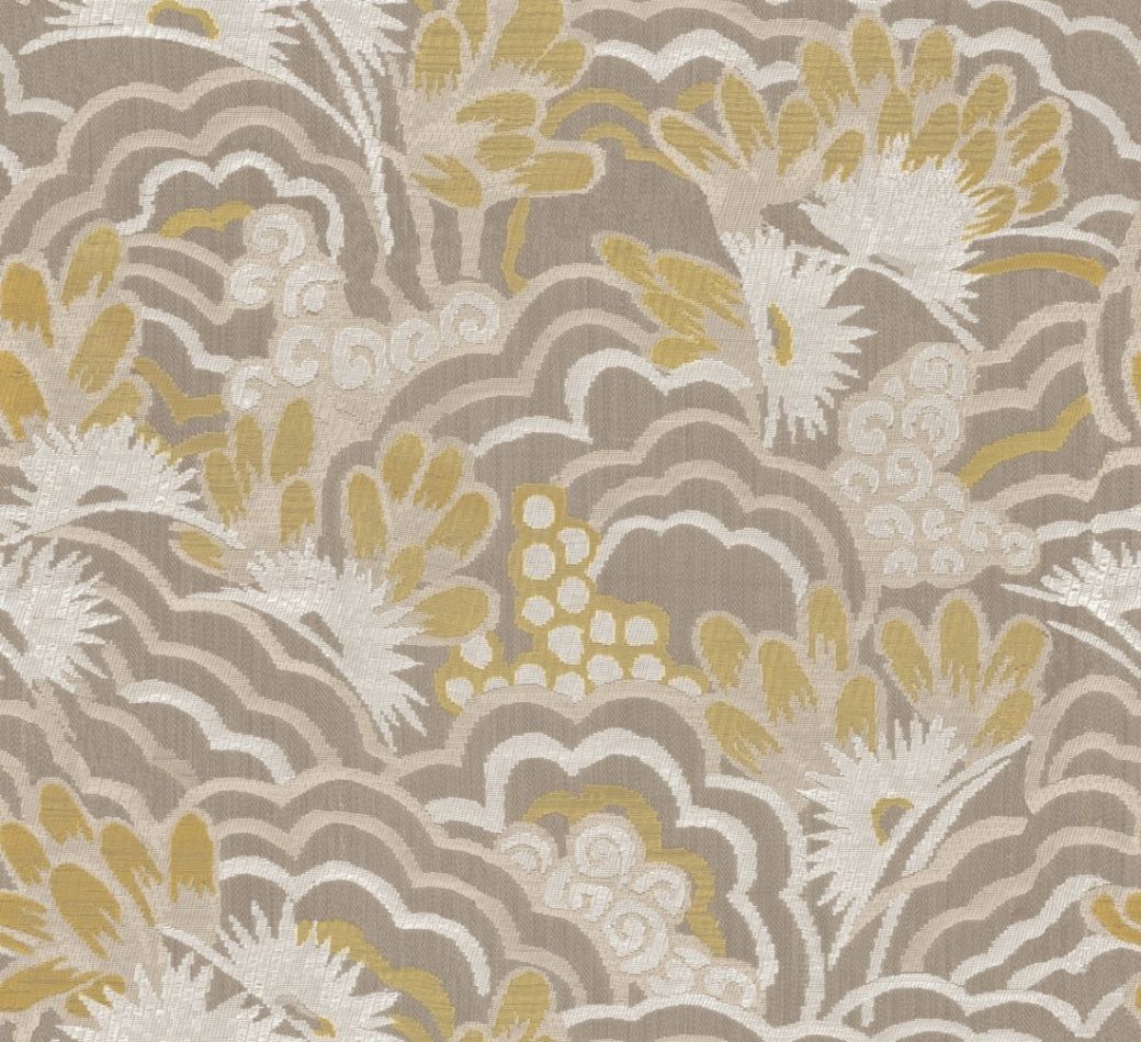 Curiosa Delight 13541
