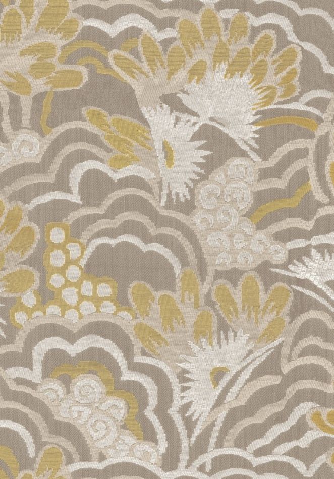 Curiosa Delight 13541