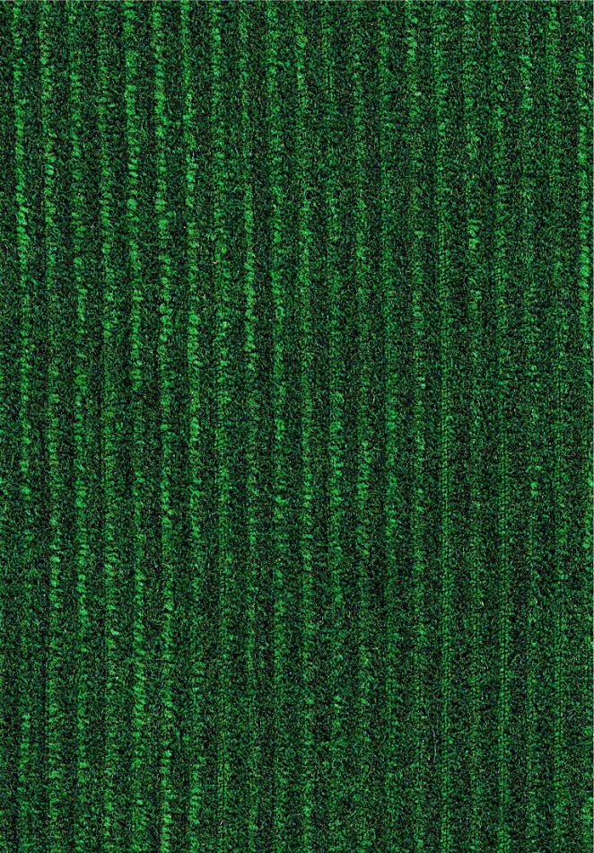 Lush Tinneroy 29502