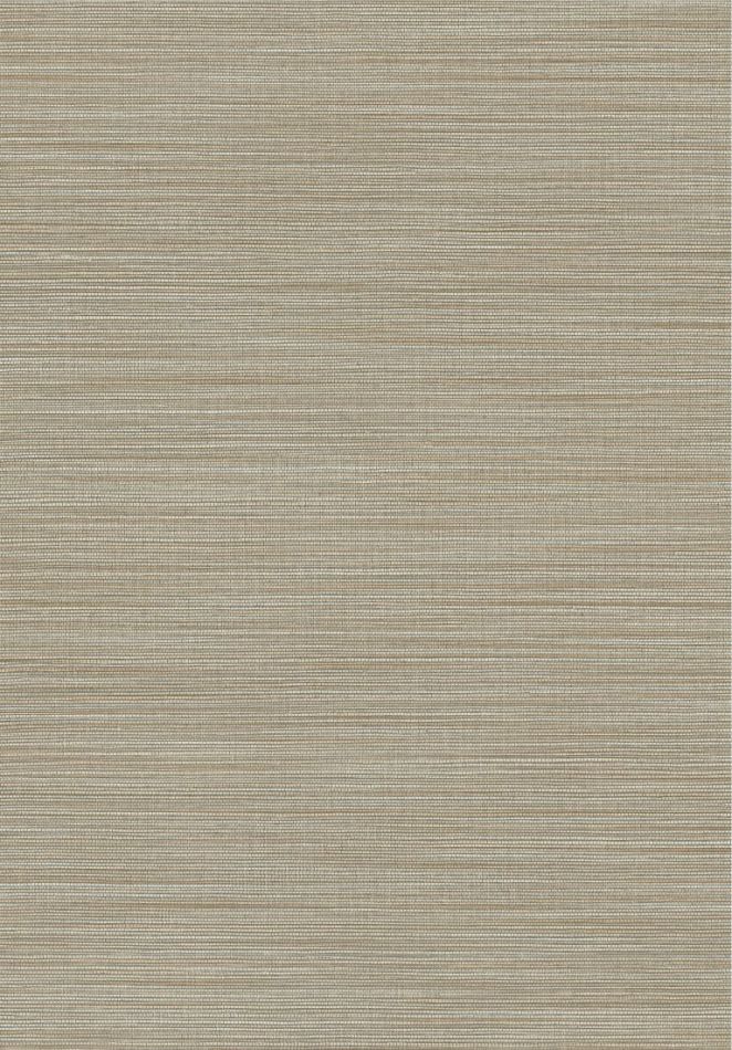Marsh 31503 Ash