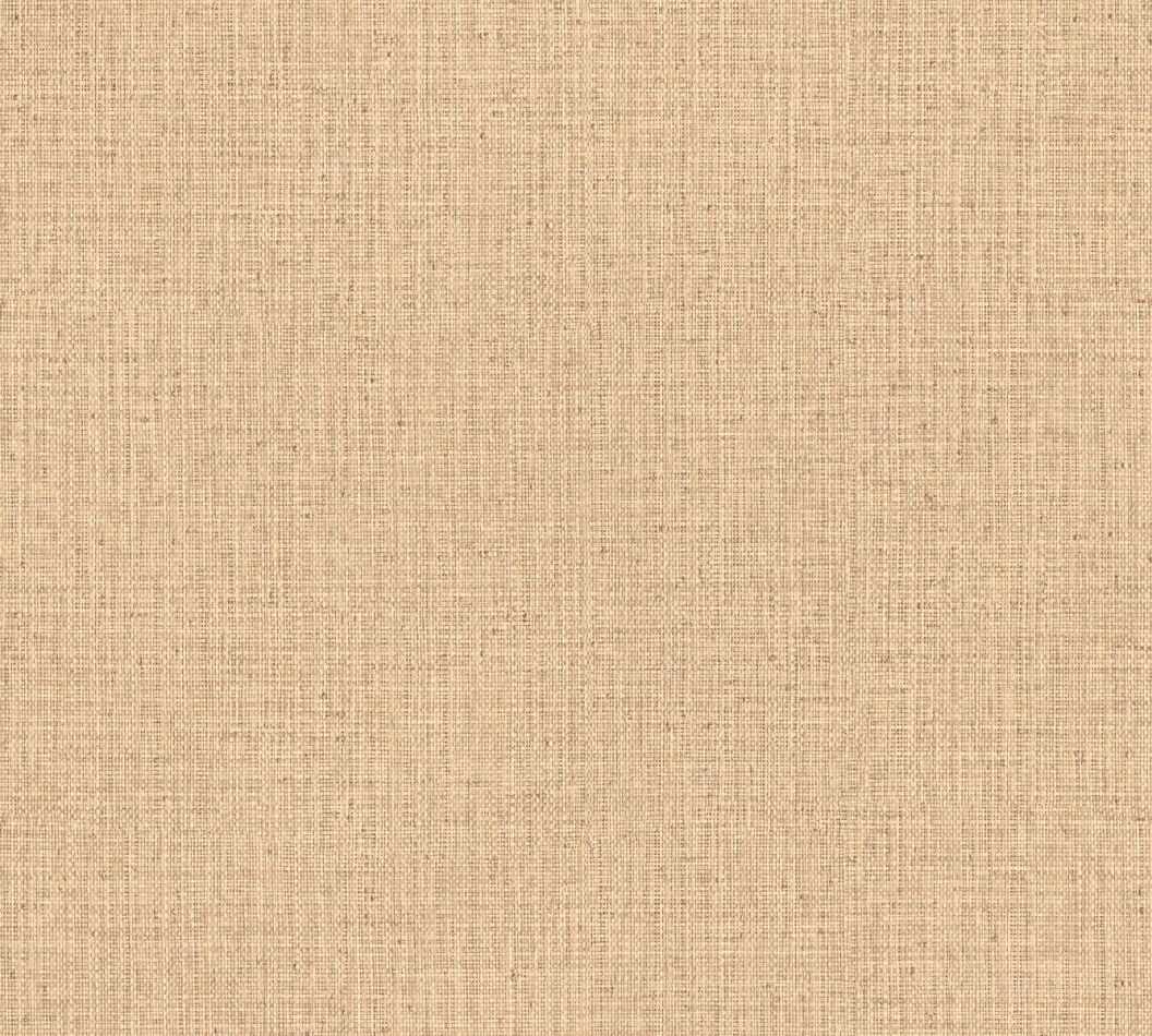 Gitane Nongo 49511 Sand