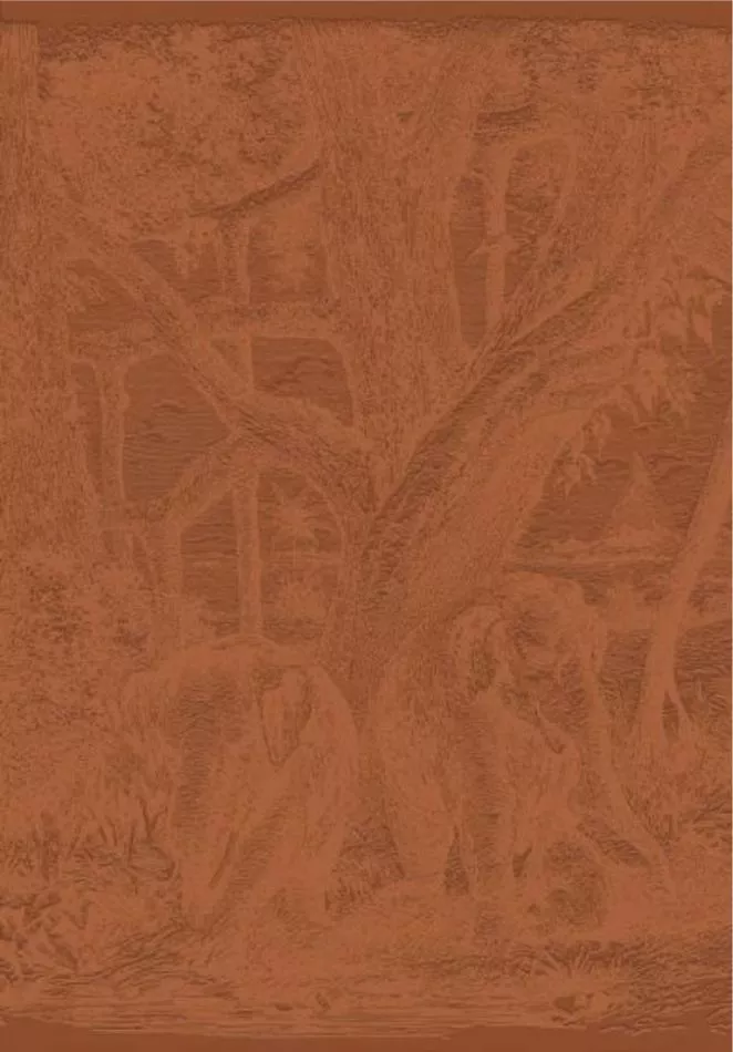 Maximus 71580202 Terracotta