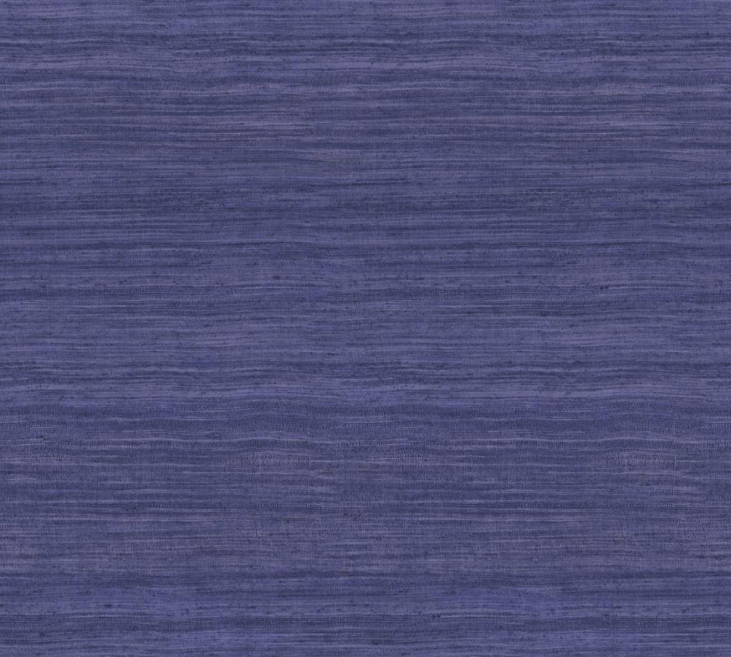 Tasar 72038