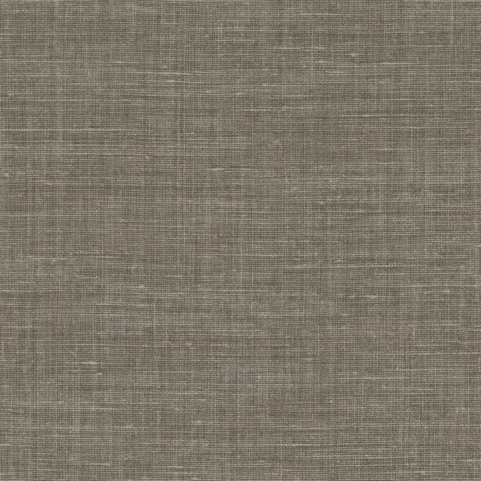 Shinok 73813782 Gris Taupe