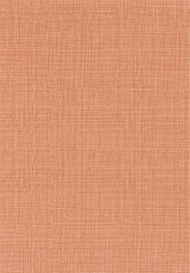 Sierra 76702956 Corail