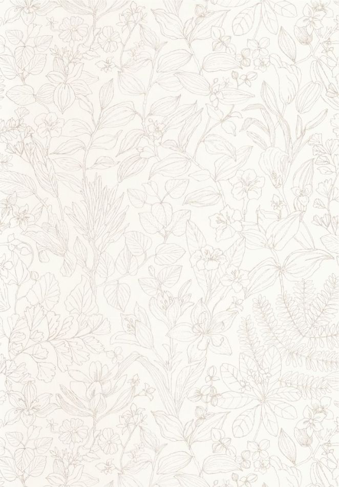 Gardens Esquisse 87591056 Beige lin