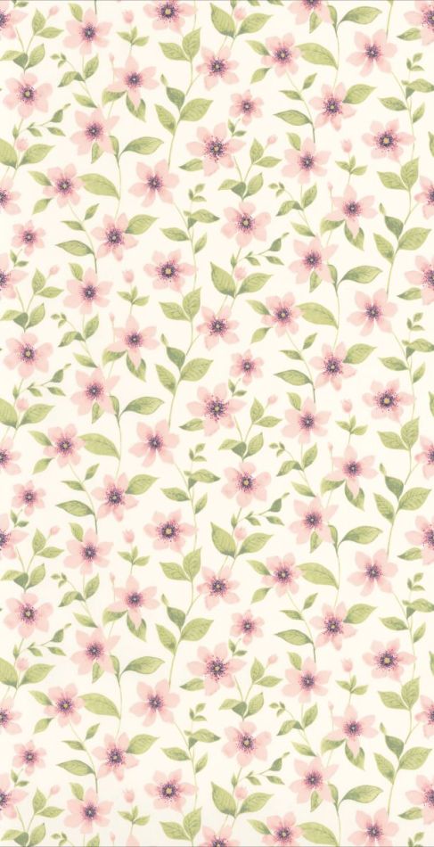 Gardens Clematites 87644352 Rose anglais