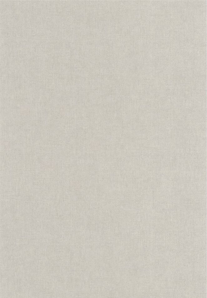 Empreinte 88709312 Gris nuage