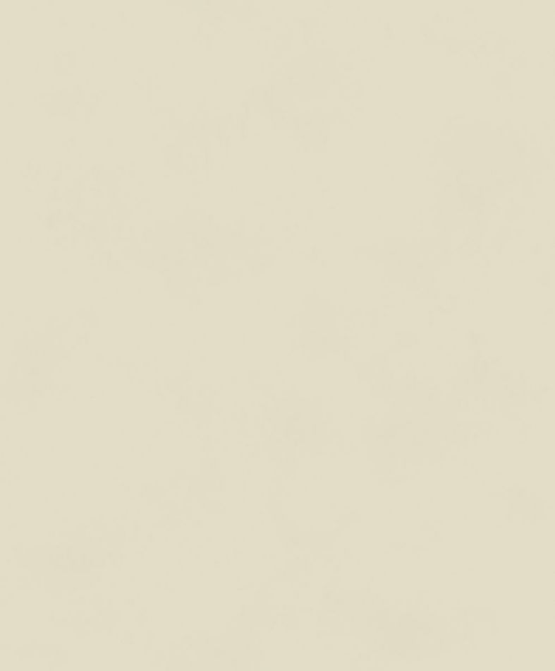 Color Cement BLONE1007