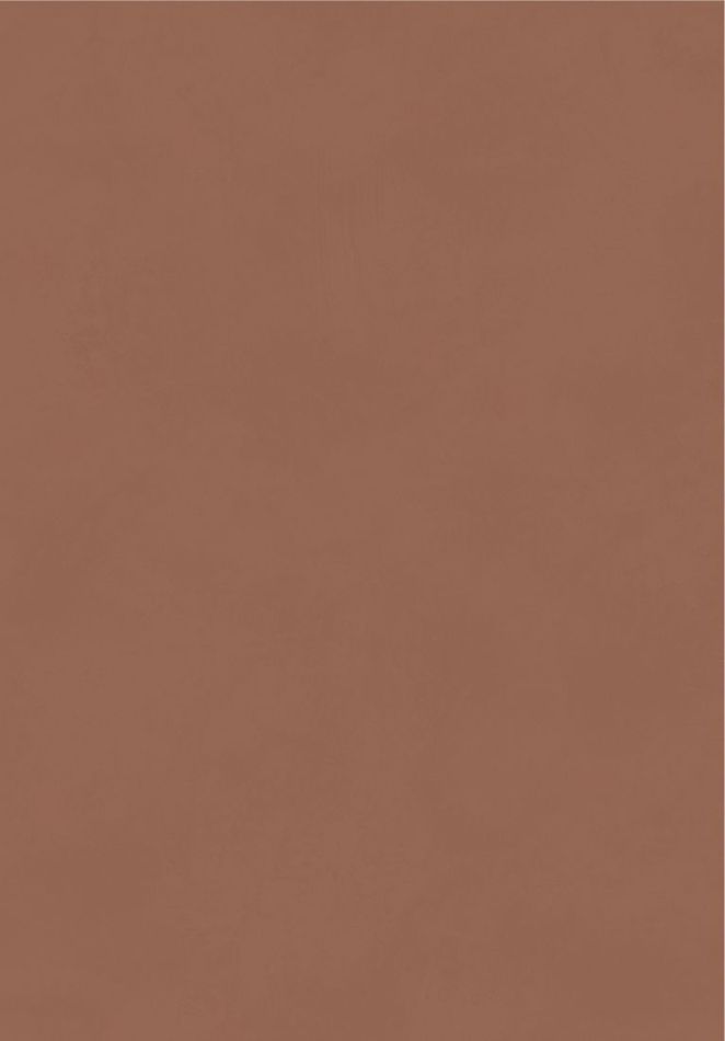 Color Terra BLONE1013