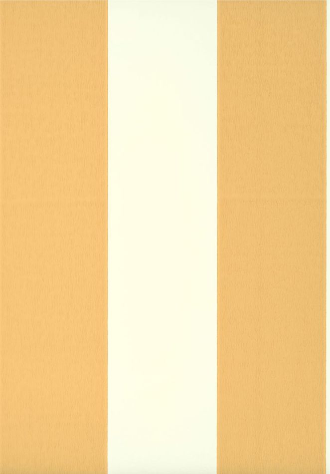 Broad Stripe - Yellow Pink