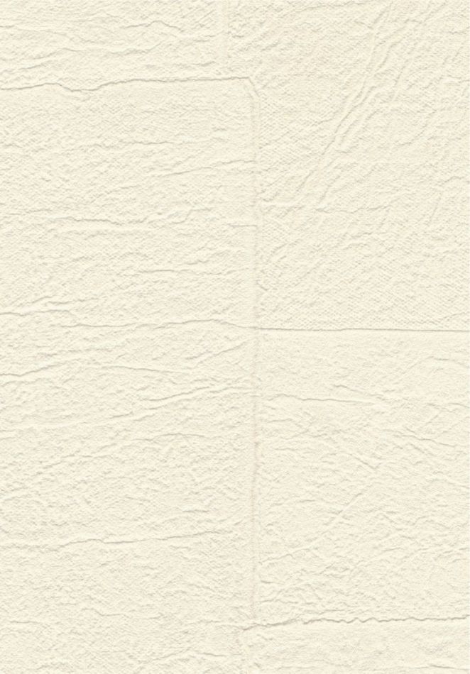 Sangpi VP1018 01