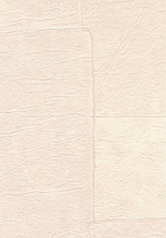 Sangpi VP1018 03