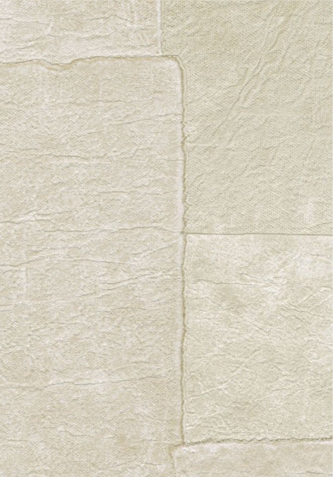 Sangpi VP1018 05