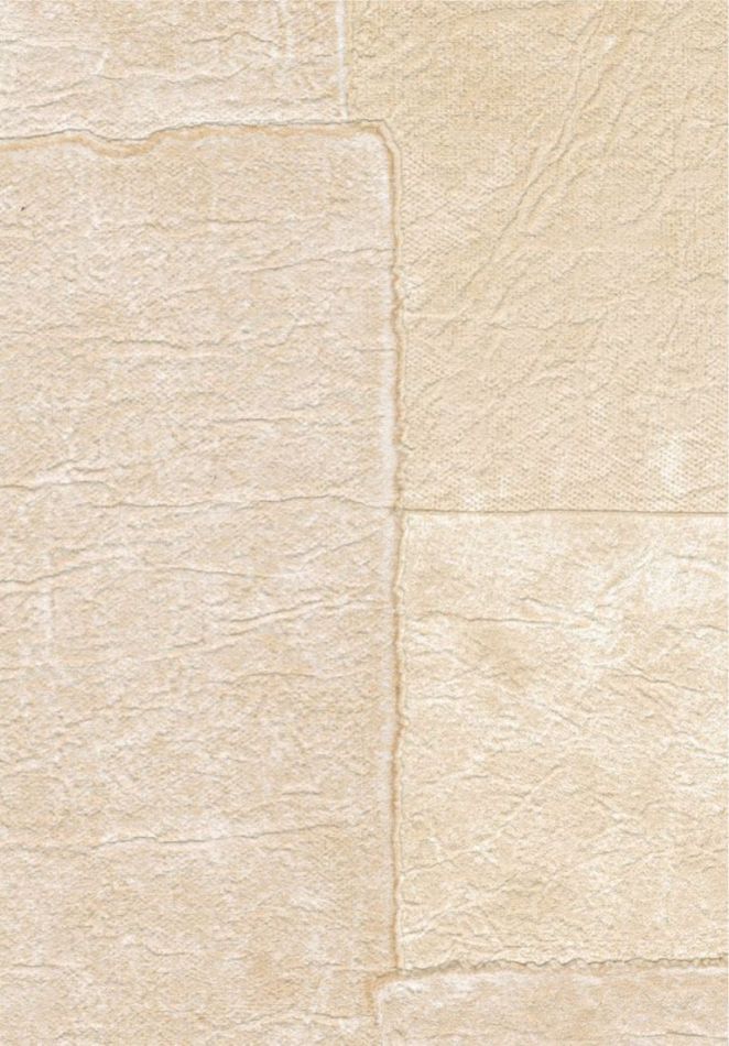 Sangpi VP1018 07