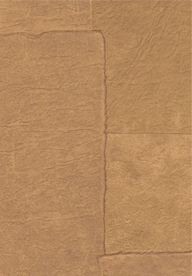 Sangpi VP1018 15