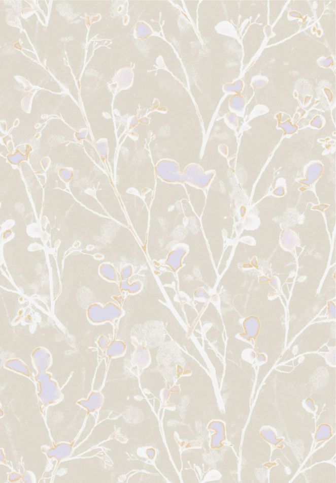 Alder Pastel LOT405