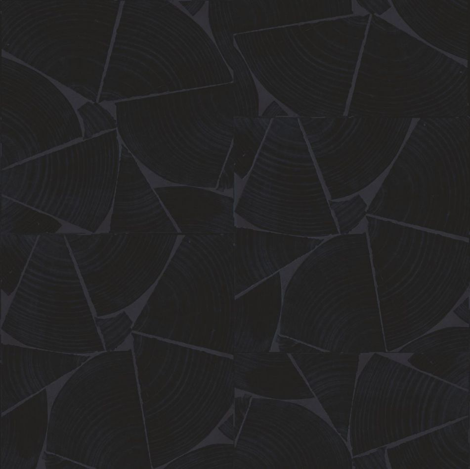 Fragments RM1037 80