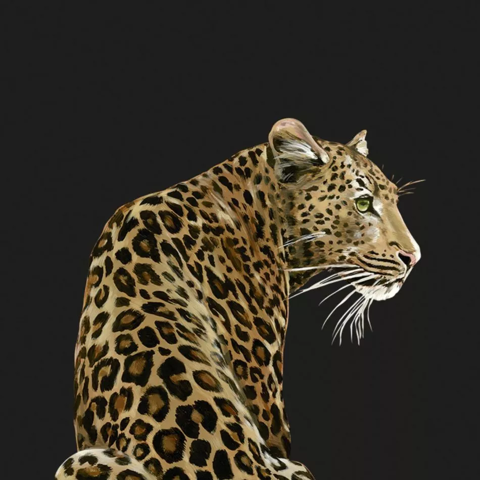 Leopardo Teletta Wandbild