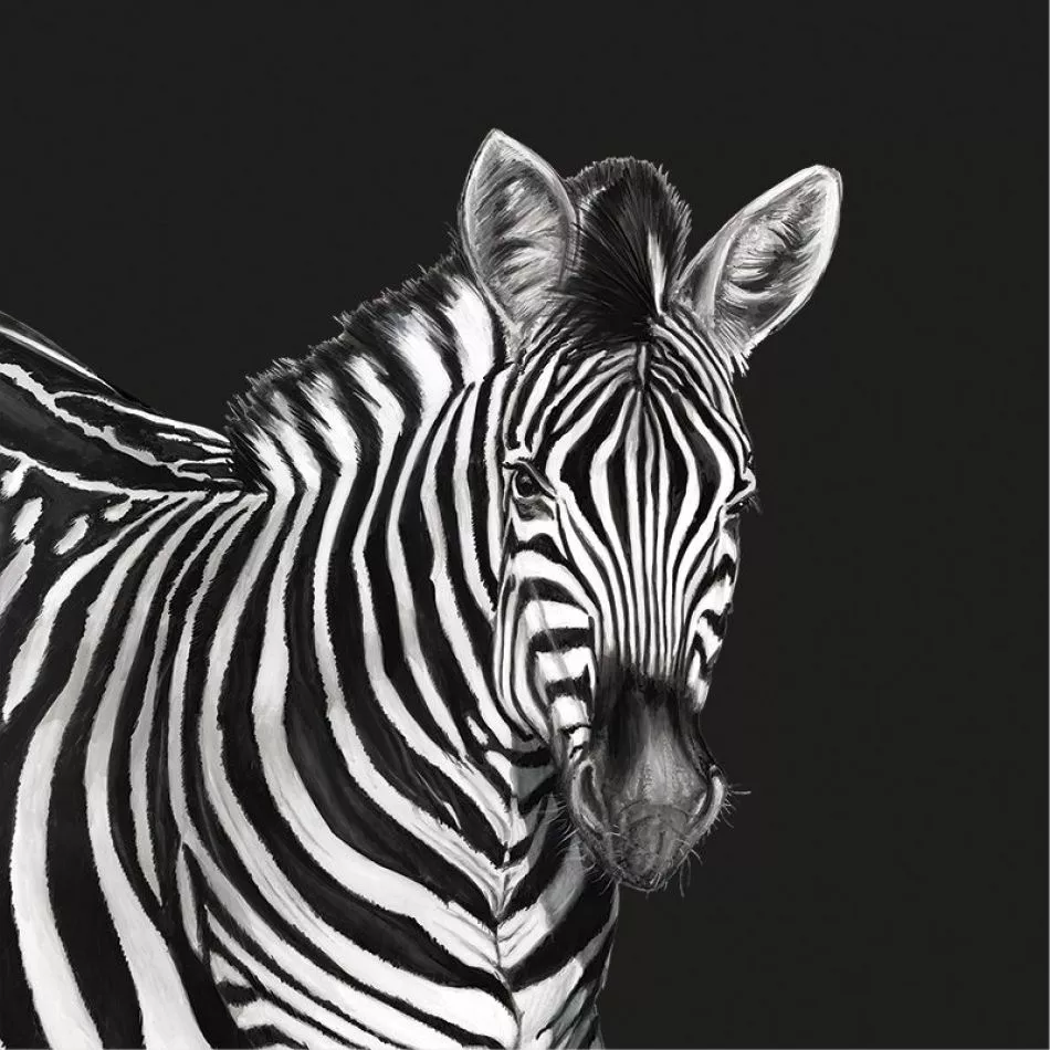 Zebra Teletta Wandbild