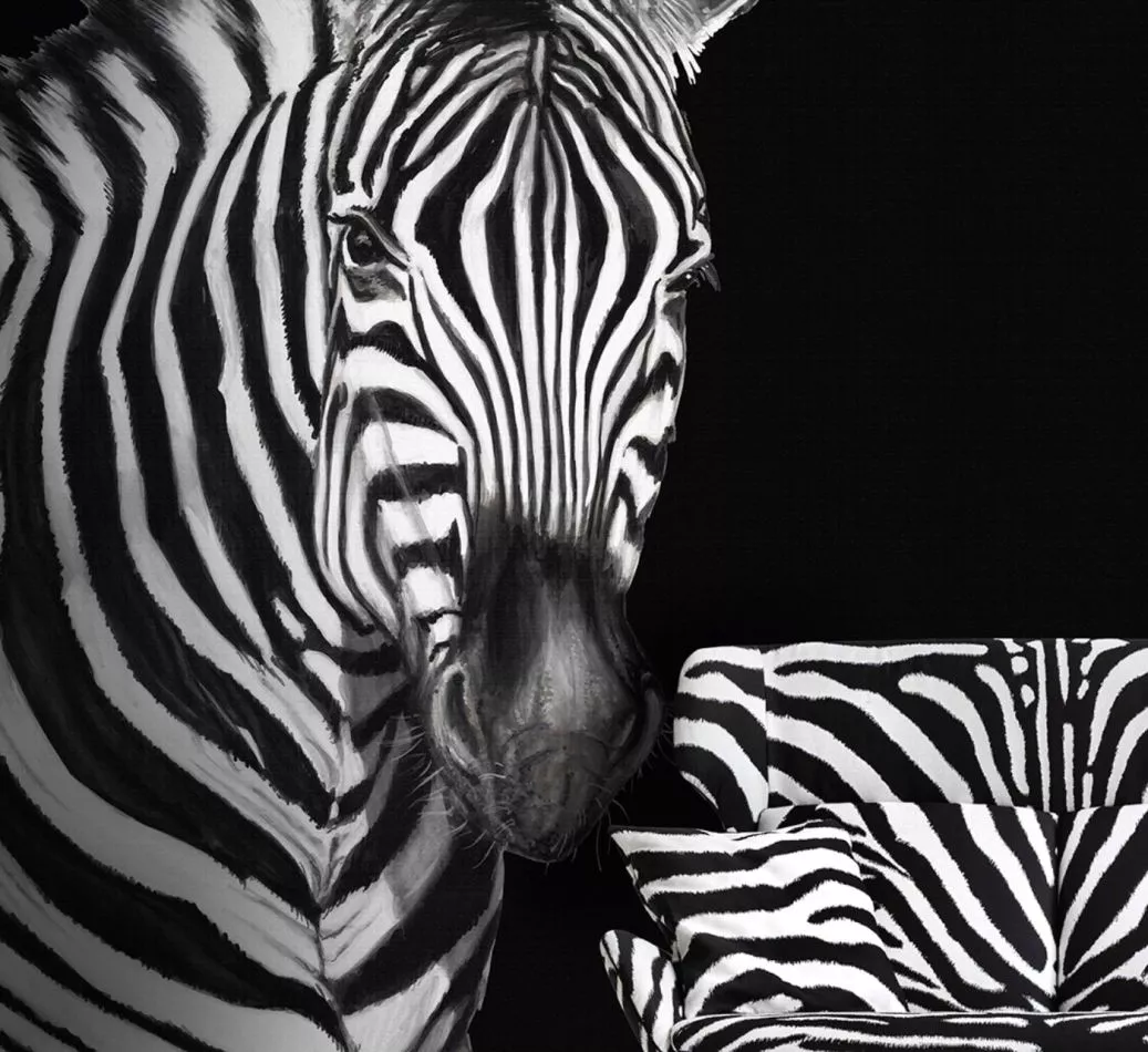 Zebra Teletta Wandbild