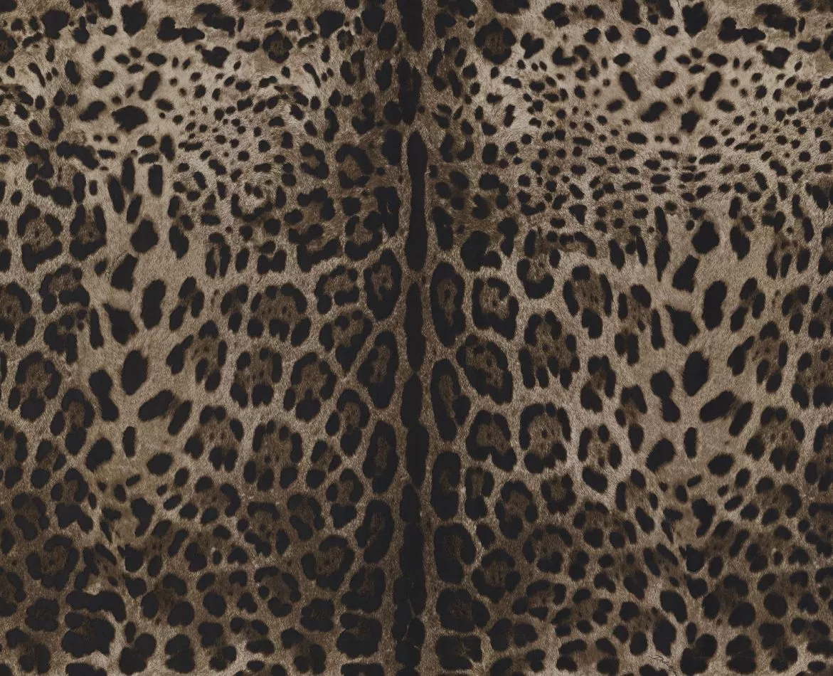 Leopardo