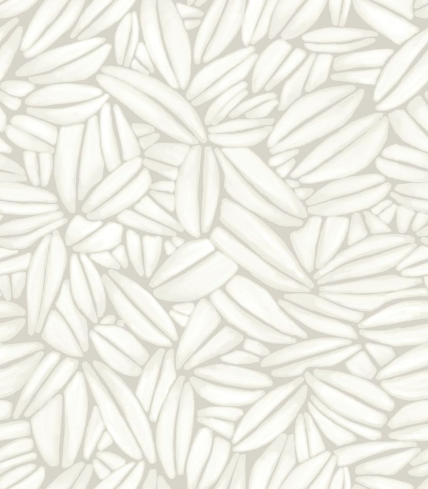Succulente TP301 01