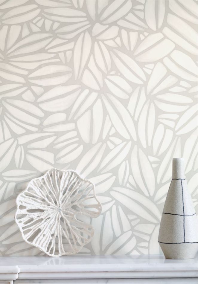 Succulente TP301 01