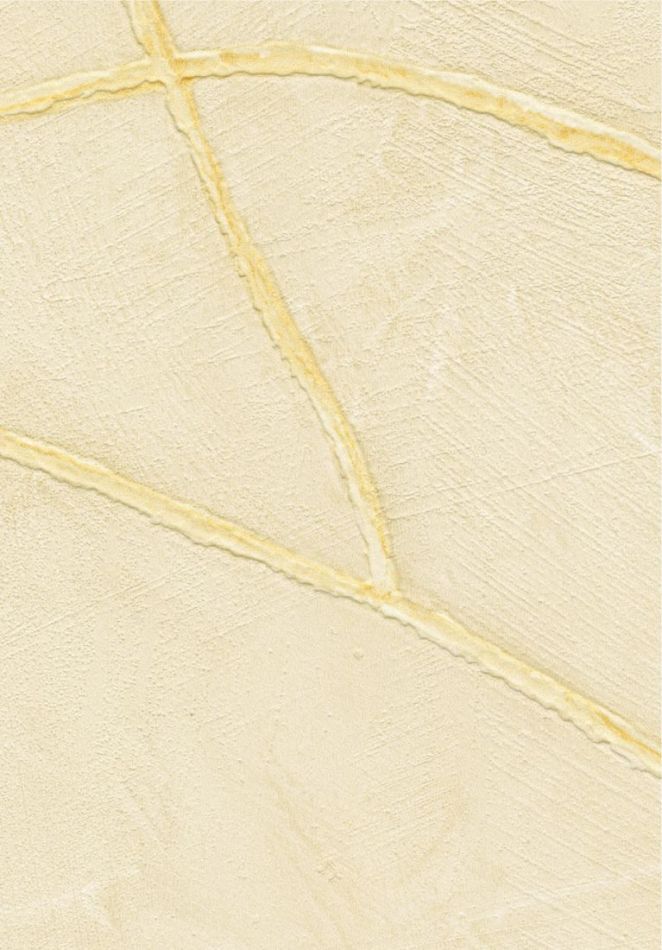 Kintsugi VP1004 04 Précieuse alchimie