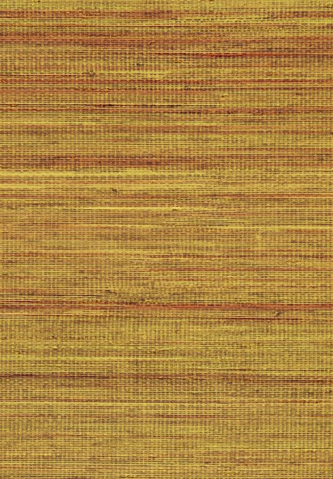 Panama Musa VP710 13