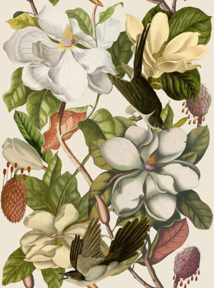 Magnolia Taupe WP20152
