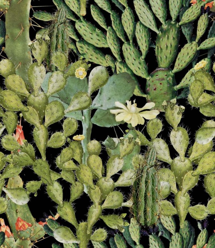 Opuntia Anthracite WP20165