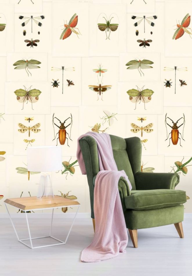Entomology WP20233