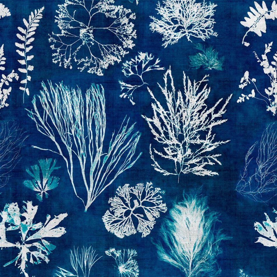ALGAE Navy blue WP20297