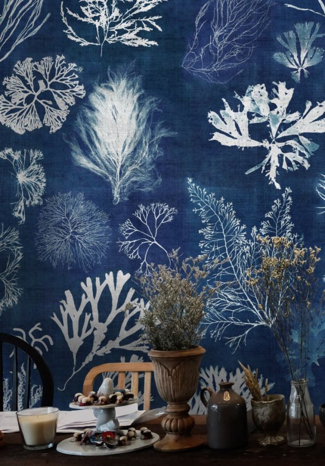 ALGAE Navy blue WP20297