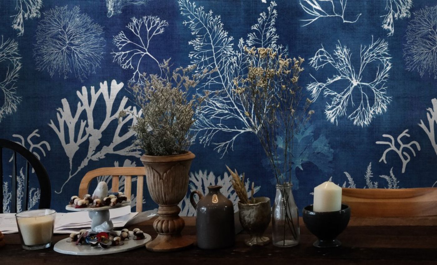 ALGAE Navy blue WP20297