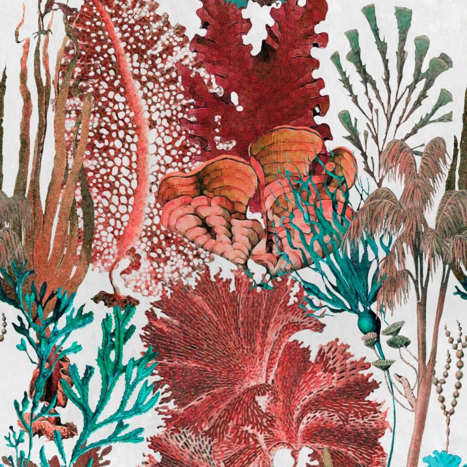 CORAL REEF WP20299
