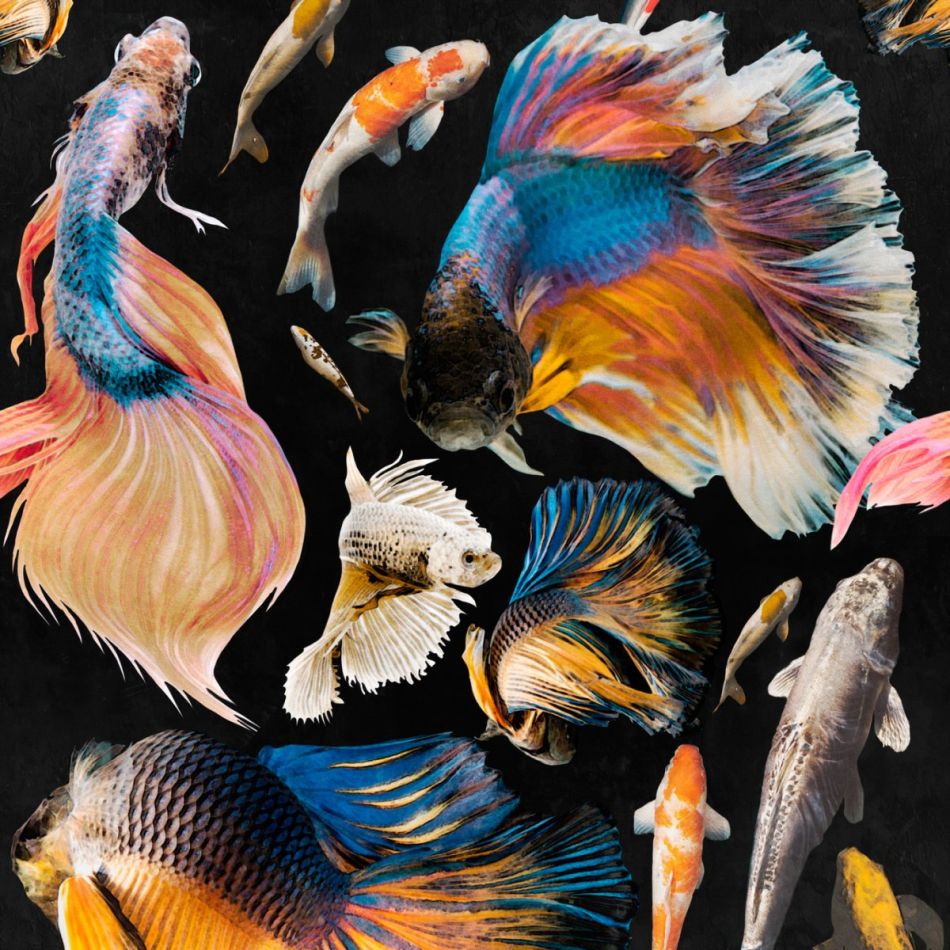 GOLDFISH Anthracite WP20301
