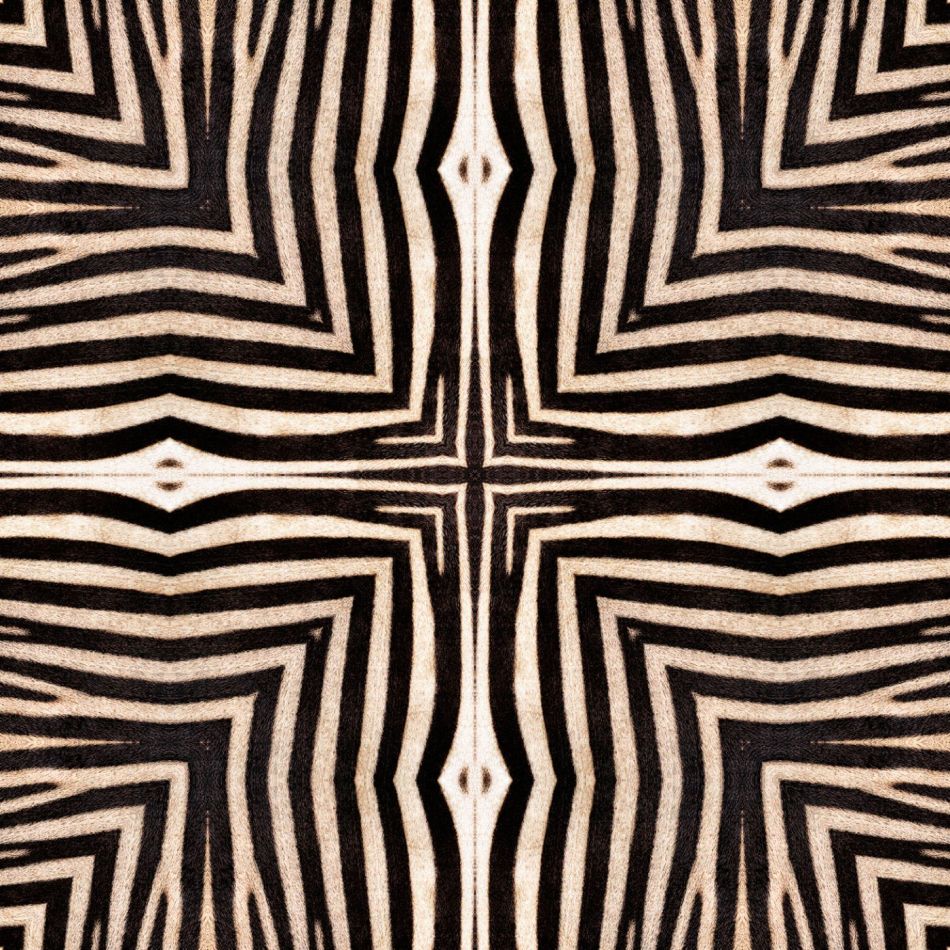 SERENGETI WP20505