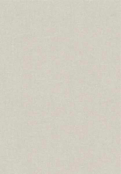 Lin 30107B Galet