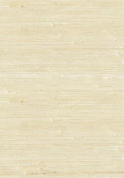 Natural Wallcoverings III 303554